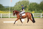 SBM_008028