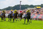 260725-Race 3-Royal Champion-0448