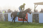 281224-Race 1-Not Staying Long-1198