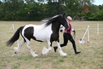 WJ6_5384