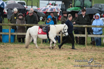 SHETPR 210425 46