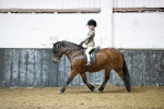 SBM_008833