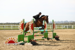 SBM_002220