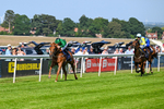 230626-Race 5-Percys Daydream-1464