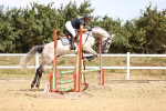 SBM_000495