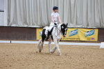 SBM_009308