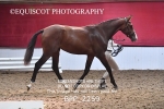 BPP_2259