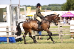 SBM_17991