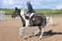 BPP_7620