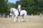 WJ7_9664