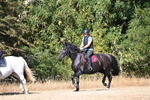 WJ6_8156