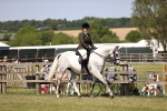 SBM_17982
