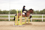 SBM_008655