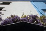 Tuesday 21st April 2009