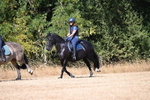 WJ6_8691