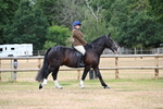 WJ6_3725