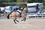 BPP_3004