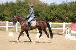 SBM_013613