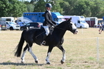 WJ6_8209