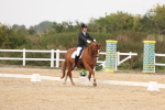SBM_01558