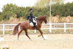 SBM_006808