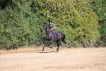 WJ6_6766