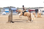 SBM_04233