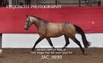 JAC_4690