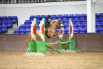 SBM_002592