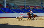 3HRodeo8-11-25_PRCASteer_07883_