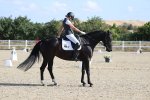 SBM_020204