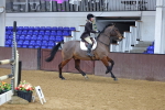 SBM_008640