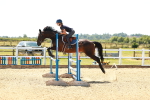 SBM_006603