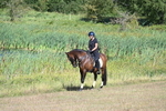 WJ7_3659