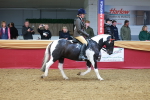 SBM_12729