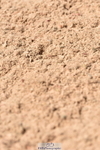 230811A-125726-05000