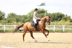 SBM_002230