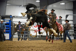 3HRodeo_Frozen_Fury_FEB_2026_00645