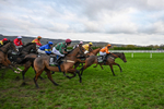 161125-Race 5-Welsh Charger-6346