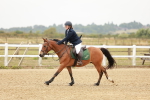 SBM_007331