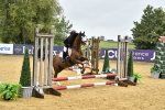 J3 - Mini Tour Junior Pony 40cm championship portfolio