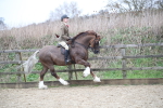 SBM_006361