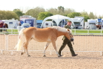 SBM_17967