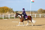 SBM_001135