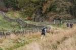 Tweed Valley-330