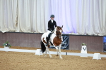 SBM_002195