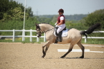 SBM_009506