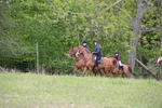 WJ6_2011