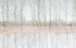 TENSET #1