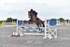 BPP_6324